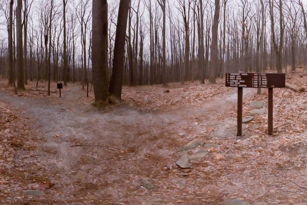 Intersection of Pink Trail with Yellow Trail